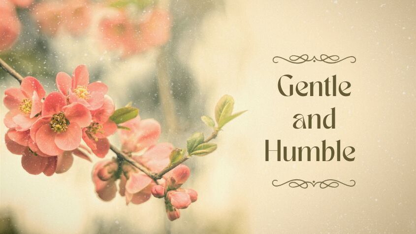 Blessed are the Gentle