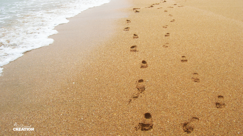 Looking Back to Move Forward