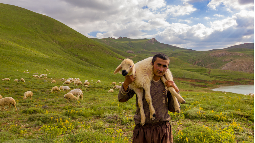 The Lord Is My Shepherd: A God Who Leads, Protects, and Provides
